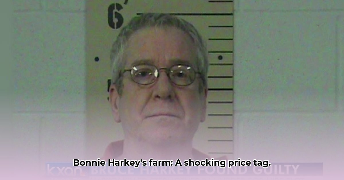 bonnie-harkey-net-worth